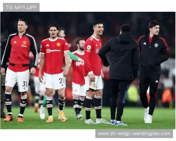 英超职业球员的平均年龄与球队年龄结构分析