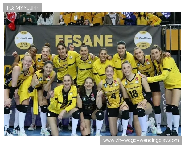 哪里可以观看欧冠女排直播及体育赛事直播指南