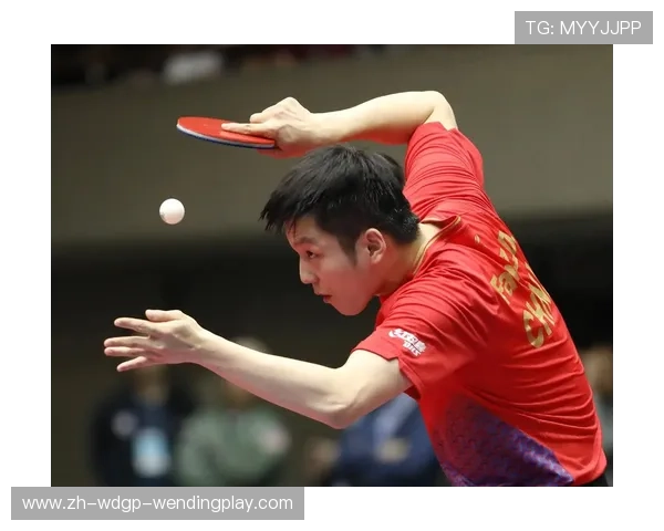 羽毛球球速乒乓球