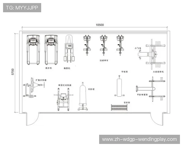 酒店健身房常见健身器材配置方案及设备推荐